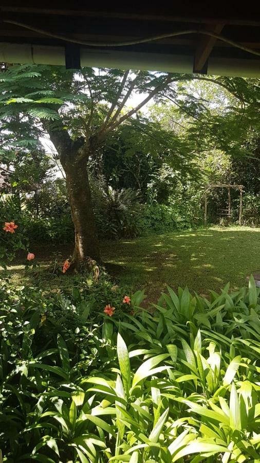 Mulberry Lane Ξενοδοχείο Graskop Εξωτερικό φωτογραφία